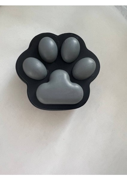 Siyah Pati Kutusu, Kedi Pati Kutusu, Köpek Pati Kutusu, Takı Kutusu, Paw Bo x