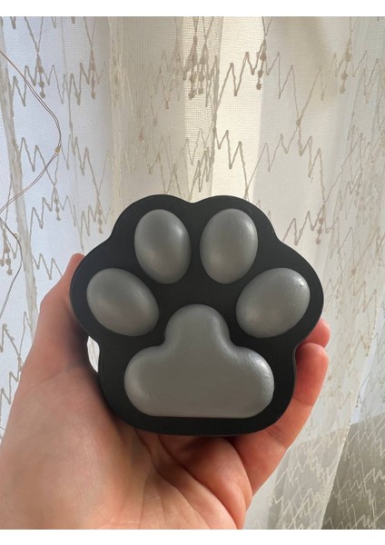 Siyah Pati Kutusu, Kedi Pati Kutusu, Köpek Pati Kutusu, Takı Kutusu, Paw Bo x