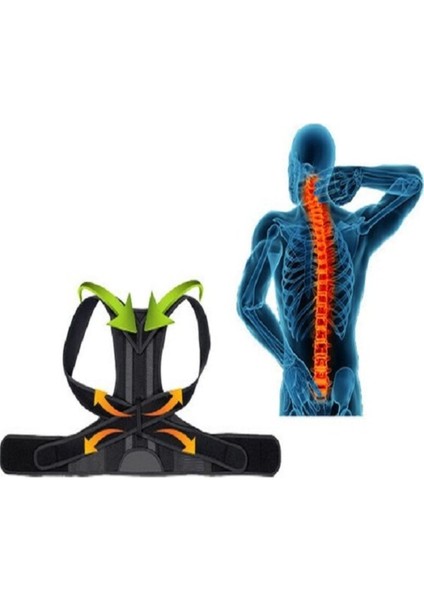 Ankaflex Çift Balenli Bel ve Sırt Korsesi Dik Durus Spor Bel Sırt Omuz Kambur Önleyici Korse fiyatları