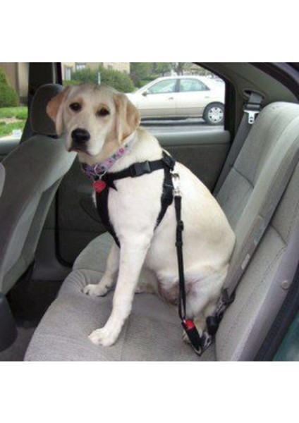 Ankaflex Evcil Hayvan Araç Emniyet Kemeri Kedi Köpek Araba Oto Tasması Oto Aksesuarı Kedi Köpek Emniyet Kemer modelleri