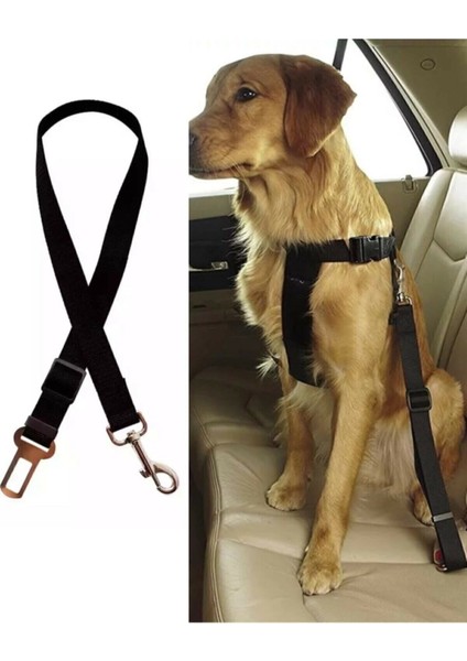 Ankaflex Evcil Hayvan Araç Emniyet Kemeri Kedi Köpek Araba Tasması Köpek Oto Aksesuarı