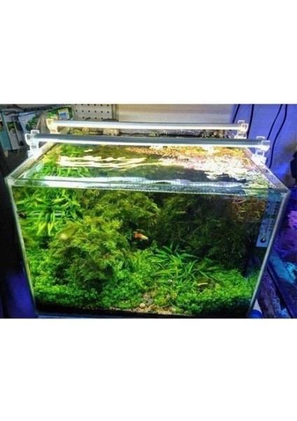 Bar LED Aydınlatma Daylight 30CM 3000K