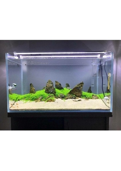 Bar LED Aydınlatma Beyaz 6500K 60CM