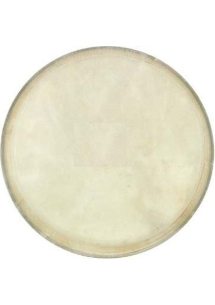 Bongo Derisi