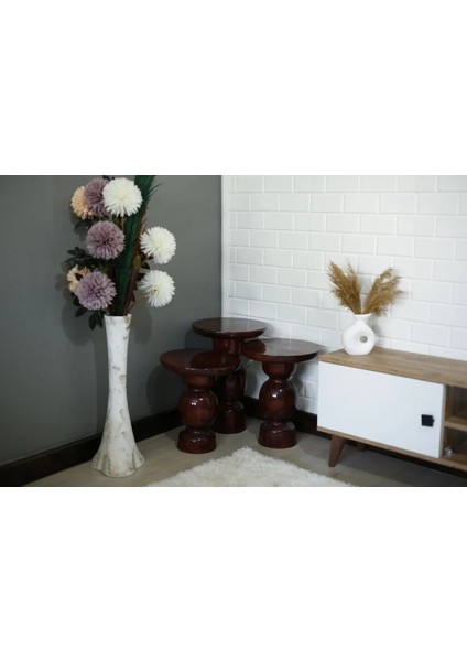 Wood Wooden 3’lü Set Karpuz Model Mantar Yan Sehpa Modern Koyu Ceviz Renk Fiskos