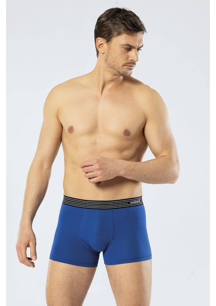Erkek 3lü Boxer