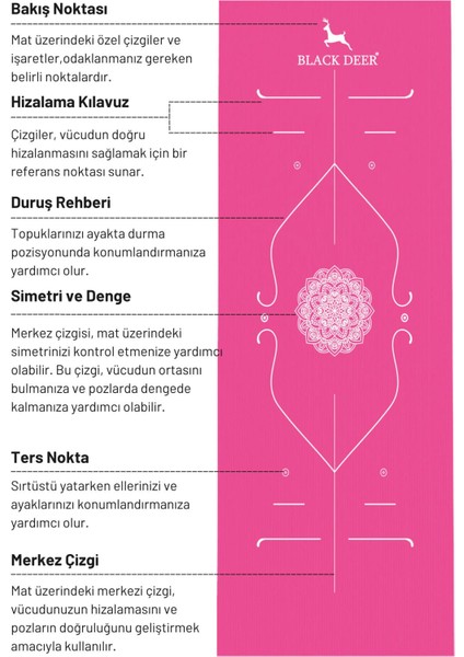 Hizalamalı Yoga Pilates Esneme Matı Egzersiz Minderi 180X55 cm 10 mm