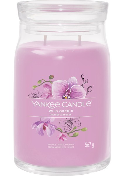 Wild Orchid Signature Büyük Mum