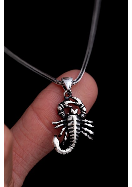Erkek Gümüş Kolye - Akrep Figürlü Gümüş Model 2 Erkek Kolye