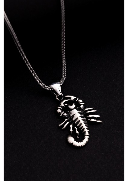 Erkek Gümüş Kolye - Akrep Figürlü Gümüş Model 2 Erkek Kolye modelleri