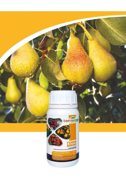 Terra Amino