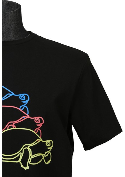 Üçlü Carette Bisiklet Yk T-Shirt fiyatları