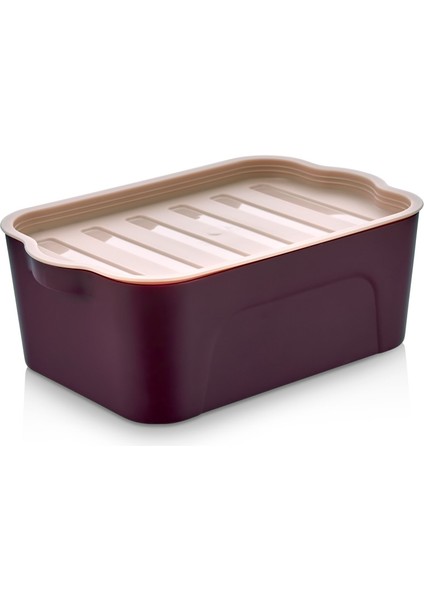 Saklama Kabı 2 Lt / 2'li Saklama Kabı Buzdolabı Düzenleyici Saklama Kutusu