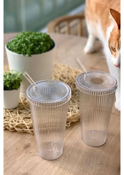 Origami Stil Cam Pipetli Bardak Kapaklı Kahve ve Sunum Bardağı Kokteyl Bardak 400 ml