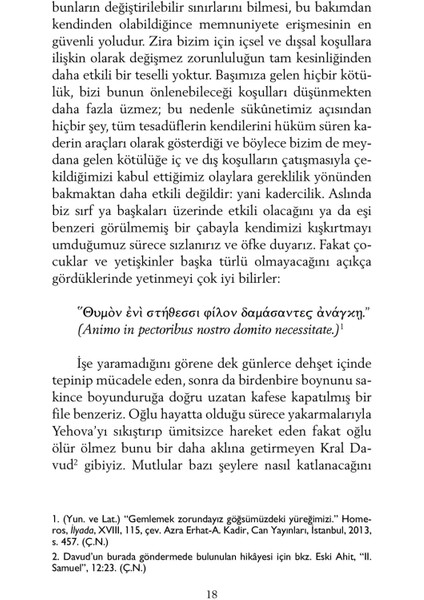 Mutlu Olma Sanatı - Arthur Schopenhauer