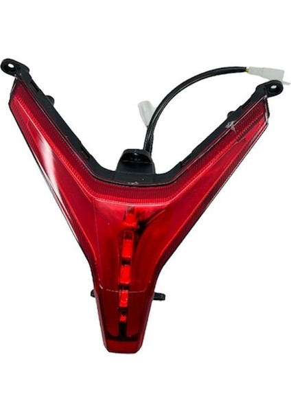 50 Loyal I Arka Stop Komple Orjınal