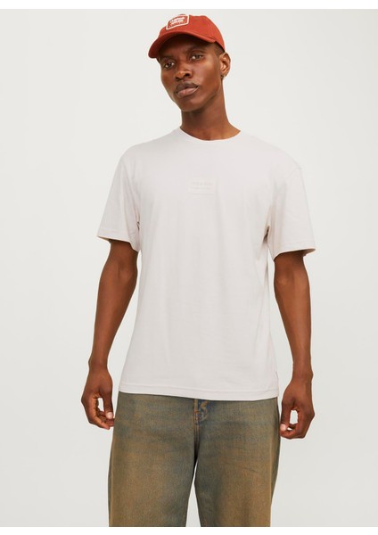 Ekru Erkek T-Shirt 12256801_JJHAKKAI Tee Ss Crew Neck fiyatları