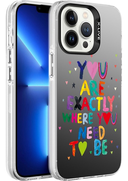 Apple iPhone 13 Pro Kılıf Desenli Silver Sert Kapak - You