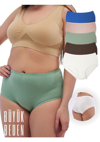 ALYA UNDERWEAR Kadın Büyük Beden Külot Battal Full Brief (8xl, 9xl, 10xl) 5 Farklı Renk 1 Pakette