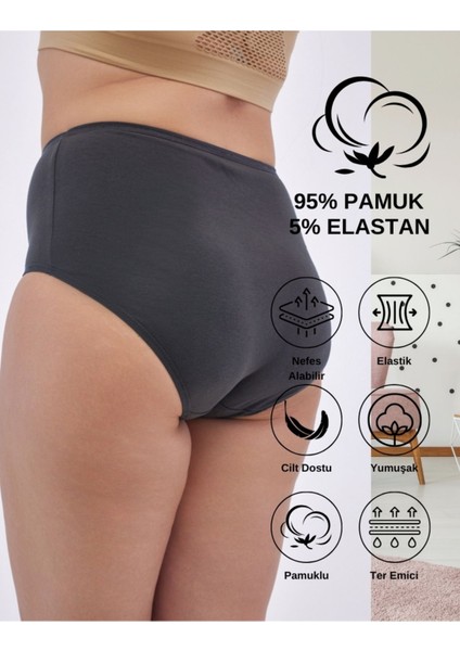 ALYA UNDERWEAR Kadın Büyük Beden Külot Battal Full Brief (8xl, 9xl, 10xl) 5 Farklı Renk 1 Pakette