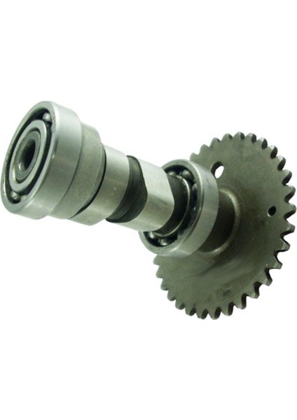 Mondial Zat Kanuni Hussar Eksantrik Mili