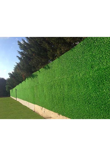 Çimçit 43 Göz 150 cm x 10 mt
