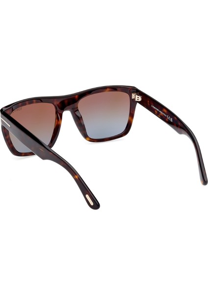 1077 Alberto 52F 55 modelleri