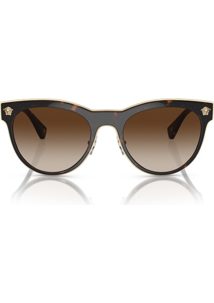 Güneş Gözlüğü VE2198 54 125213