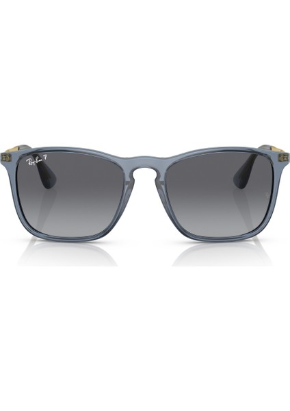 RB4187 6592T3 54 Güneş Gözlüğü