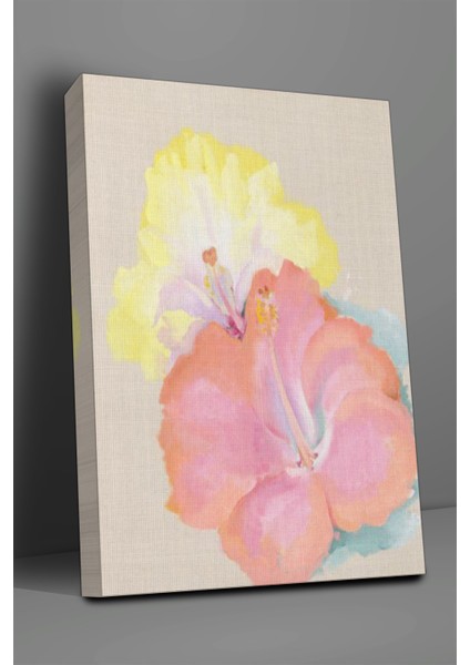 Isimsiz Hibiskus Çiçeği Tablosu-2012 fiyatları