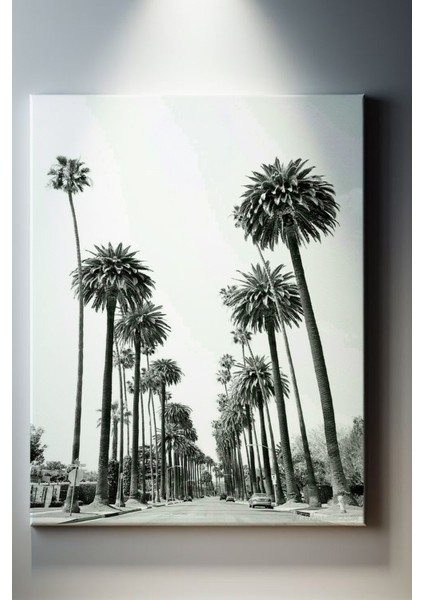 Kalifornia Palmiye Yolu Tablosu-1799