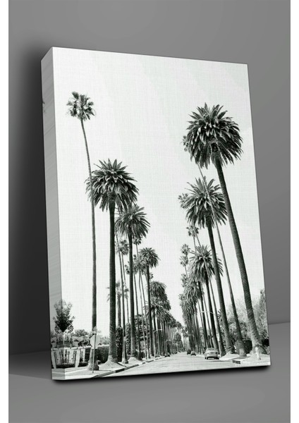 Kalifornia Palmiye Yolu Tablosu-1799