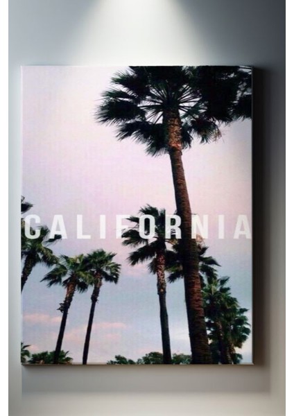 Palmiye Manzaralı California Tablosu-1547