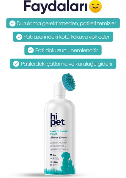 Pati Temizleme Köpüğü