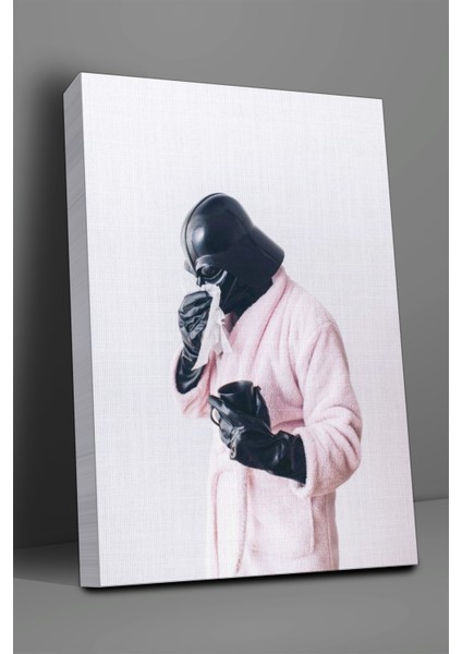 Vader Hasta Tablo-1509 fiyatları