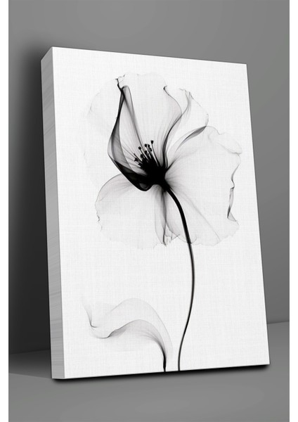 Siyah Gül Tablo-1458 fiyatları