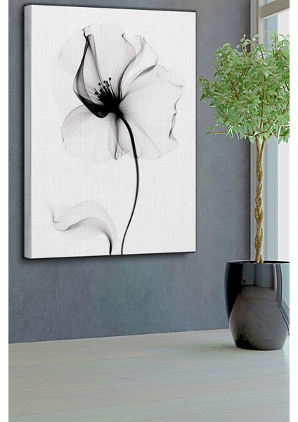 Siyah Gül Tablo-1458 fırsatları