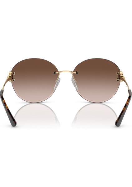 0BV6091B-278/1361 Kadın Güneş Gözlüğü
