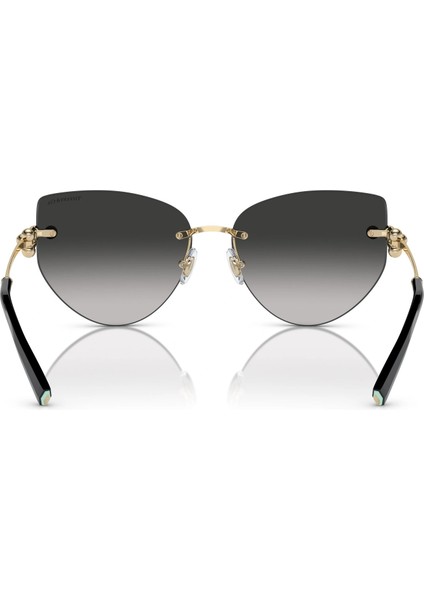 Tiffany&Co Tıffany & Co. Tf 3096 6021/3C 60 fırsatları