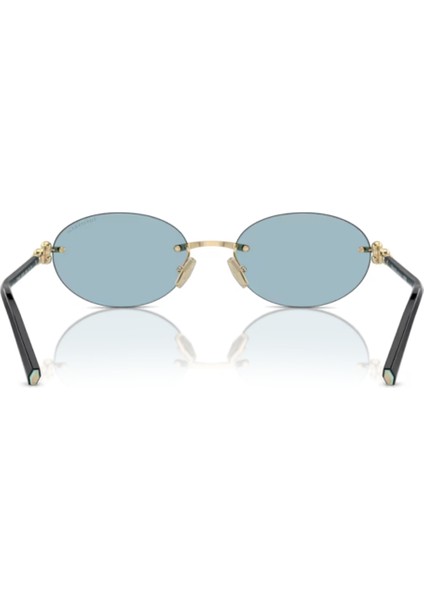 Tiffany&Co Tıffany & Co. Tf 3104-D 6021/80 56 modelleri