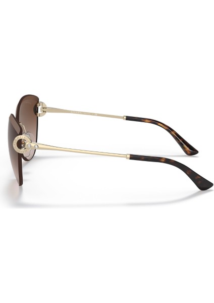 BV6166B 27813 60 Kadın Güneş Gözlüğü modelleri