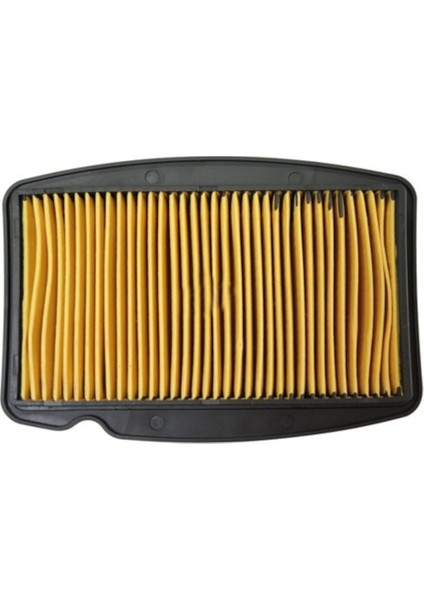 Honda Cbf Hava Filtre