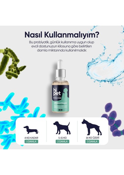 Sıvı Probiyotik 50 ml