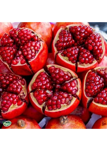 Çiftliği Nar Reçeli 250 gr fırsatları