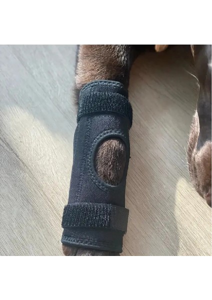 1 Adet Köpekler Için Esnek Parçalı Bandaj Karpal Diz Ekleminde Patileri Zayıflayan Köpekler Için