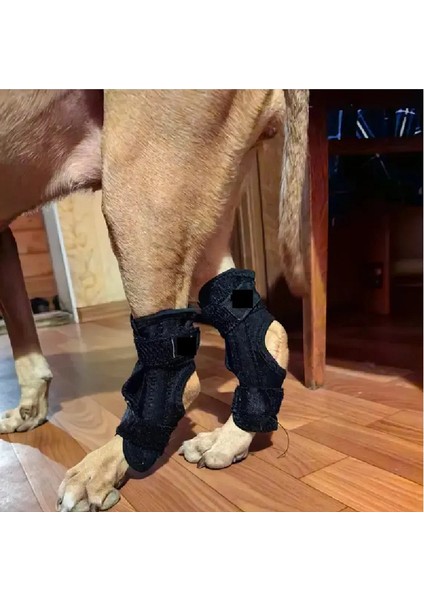 1 Adet Köpekler Için Esnek Parçalı Bandaj Karpal Diz Ekleminde Patileri Zayıflayan Köpekler Için