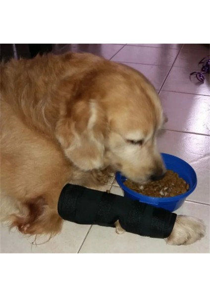 2 Adet Köpek Pati Bandajı,, Siyah (Ön ve Arka Patiler Için)