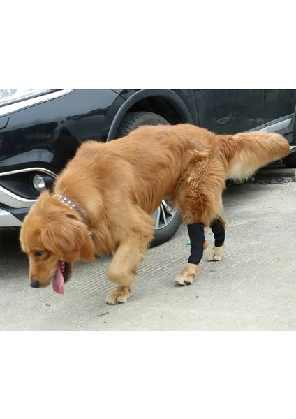 2 Adet Köpek Pati Bandajı,, Siyah (Ön ve Arka Patiler Için)