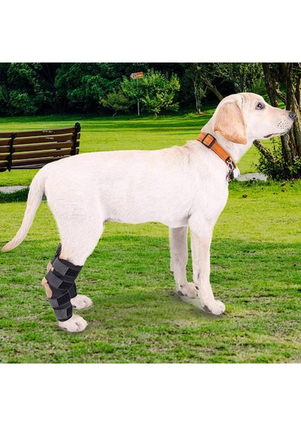 2 Adet Köpek Pati Bandajı,, Siyah (Ön ve Arka Patiler Için)