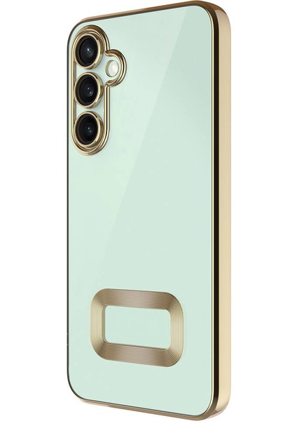 Galaxy A55 Kılıf Kamera Korumalı Logo Gösteren Omega Kapak-Gold